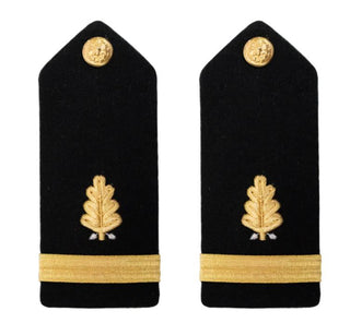 US NAVY Male Hard Shoulder Board: Dental Corps O1 ENS