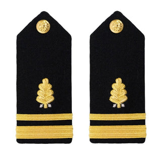 US NAVY Male Hard Shoulder Board: Dental Corps O2 LTJG