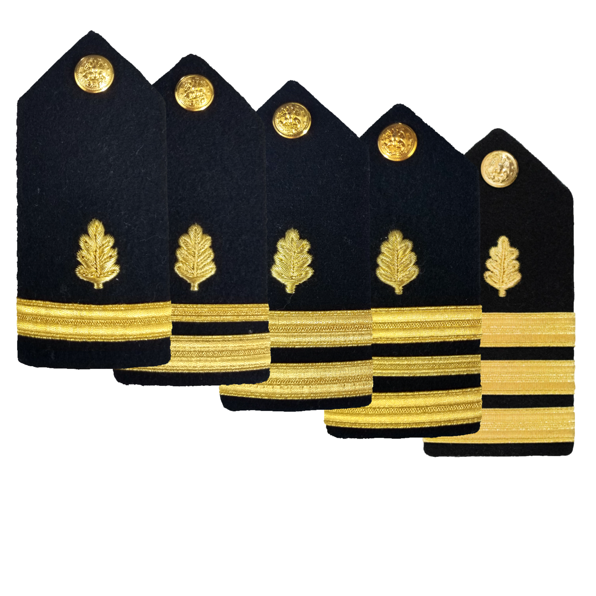 NAVY Women's O1-O6 Hard Boards: Nurse Corps