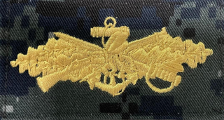 US NAVY Working Uniform Type 1 Embroidered Badge: Seabee Combat Warfare. Gold embroidery on Blueberry Camo.  Official U.S. Navy patch (retired in October 2019) Digital Blue Camouflage.  - USN Certified - NWU Type 1 Blue Digital Camouflage (Blueberries) - Individually sold - Fabric: 50% Nylon / 50% Cotton Twill - Made in the USA