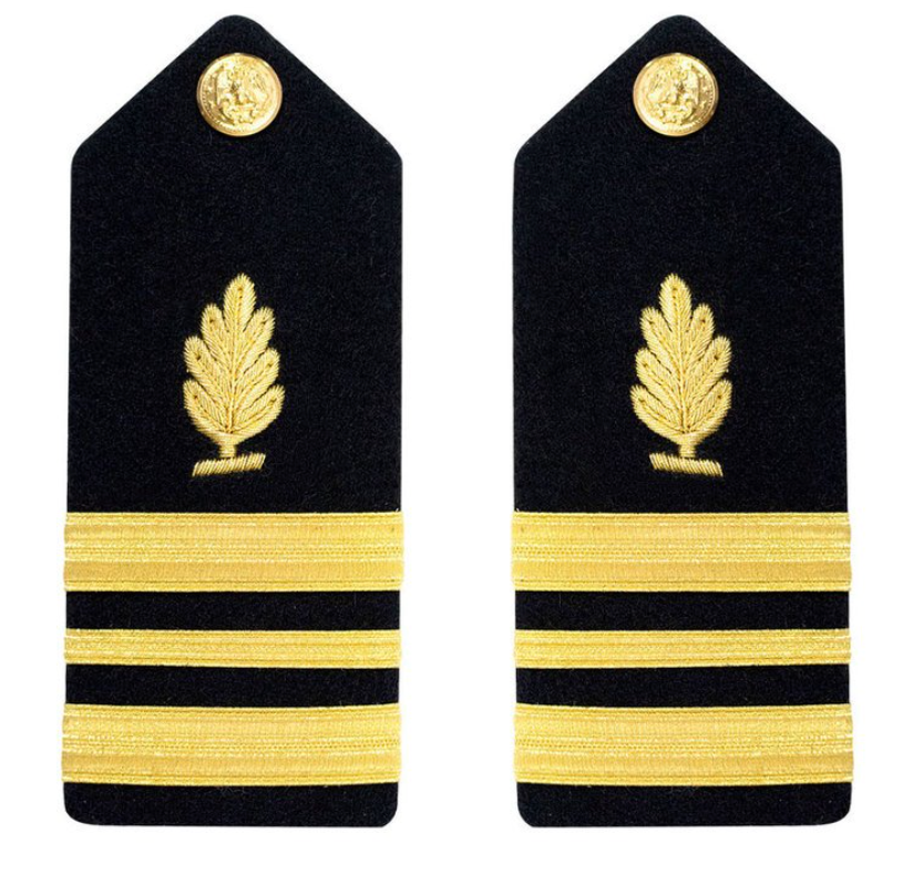 NAVY Men's Hard Boards: Medical Service Corps - LCDR