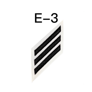 NAVY E2-E3 Combo Rating Badge: Sonar Technician - White