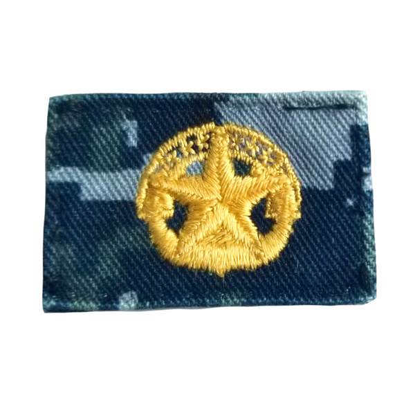 Navy NWU Type I Badge: Command At Sea