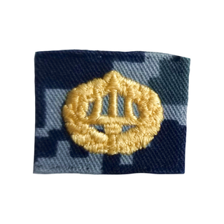Navy NWU Type I Badge: Command Ashore