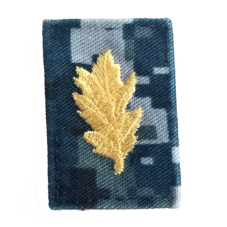 US NAVY Working Uniform Type 1 Collar Device - Nurse Corps. Gold Embroidery on Blueberry Camo.