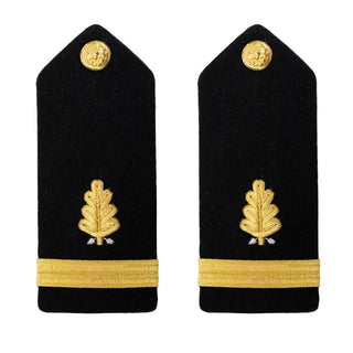 AS-IS Condition US NAVY Male Hard Shoulder Board: Dental Corps O1 ENS