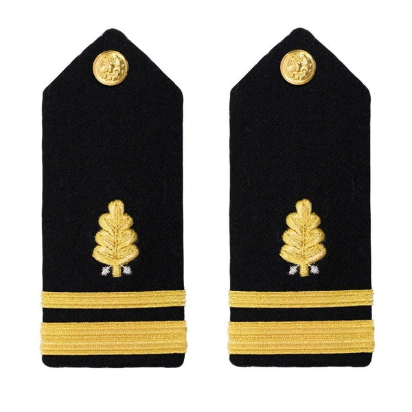 AS-IS Condition US NAVY Male Hard Shoulder Board: Dental Corps O2 LTJG