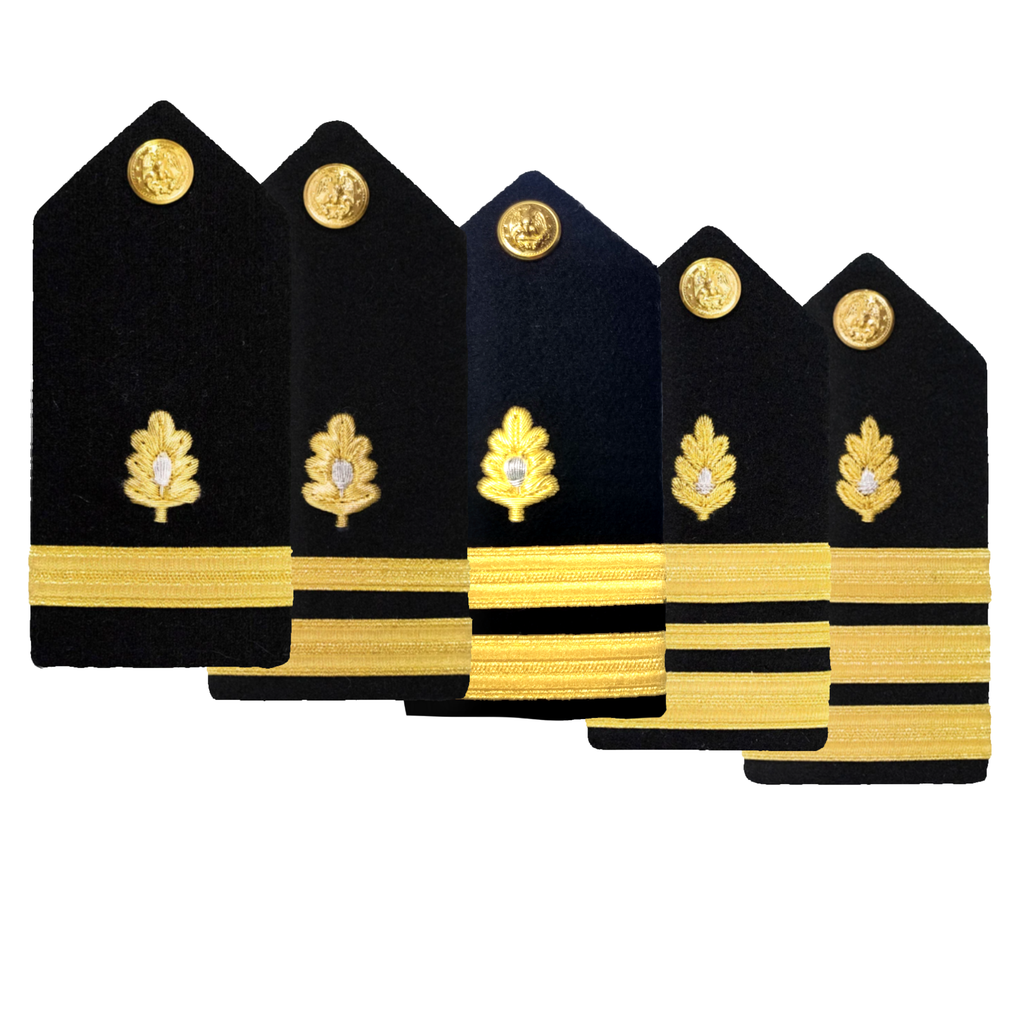 NAVY Women's O1-O6 Hard Boards: Medical Corps